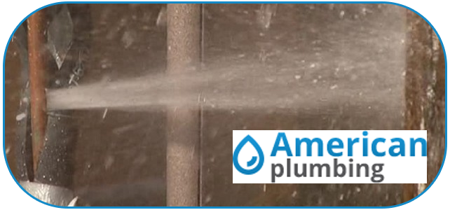 Plumbing Leak Detection