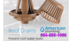 Roof Drain