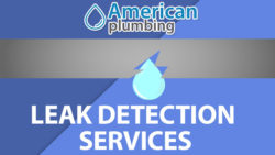 Leak Detection Services