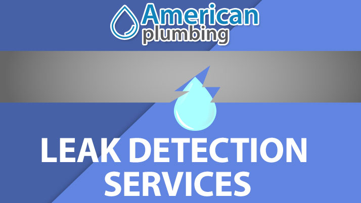 Leak Detection Services