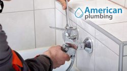 Serious Plumbing Problem?